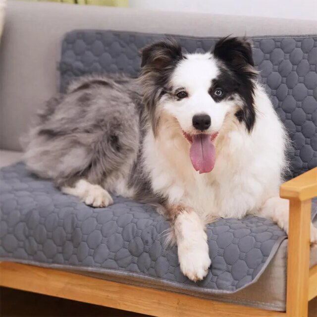 Polymères urinaires lavables réutilisables pour chien | coussin pipi pour chien – Image 2