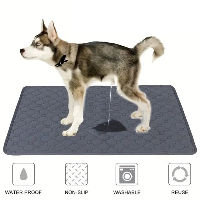 Polymères urinaires lavables réutilisables pour chien | coussin pipi pour chien