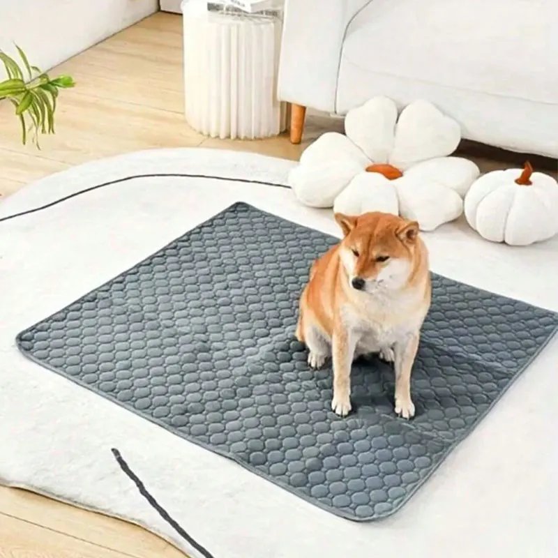 Polymères urinaires lavables réutilisables pour chien, coussin pipi pour chien, canapé de sol de siège de voiture, imperméable, absorbant, formation de chiot et de chat, couches polymères, fournitures pour animaux de compagnie