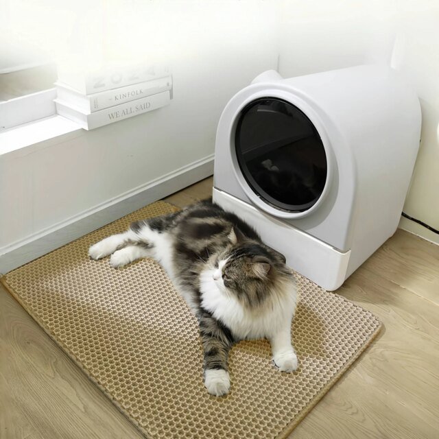 Polymères de Litière pour Chat | Double Couche, Imperméable, Lavable | Fournitures de Nettoyage pour Animaux de Compagnie – Image 2