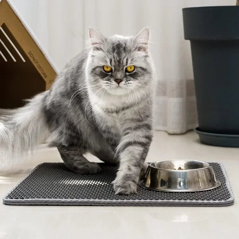 Polymères de Litière pour Chat, Double Couche, Imperméable, Lavable, Fournitures de Nettoyage pour Animaux de Compagnie