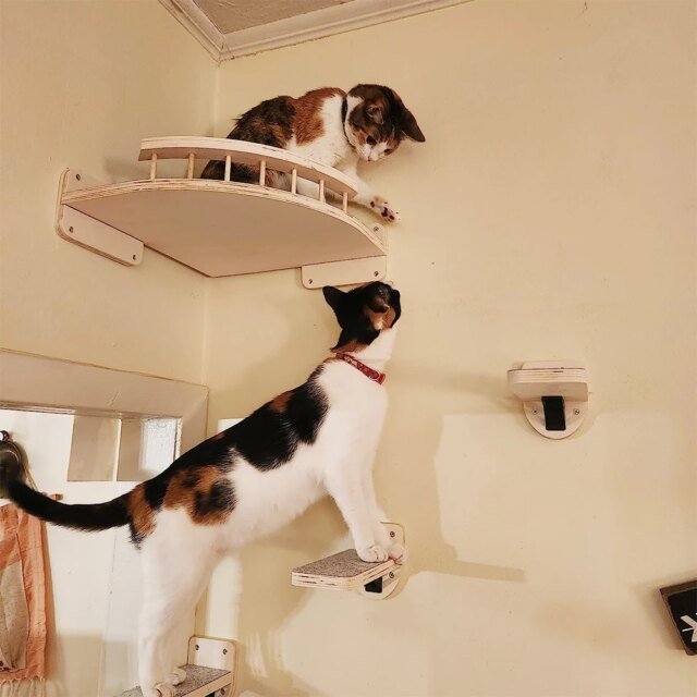 Étagère d'escalade murale pour chat | escalier à quatre marches avec poteau à gratter en sisal | tour d'arbre pour chats | plate-forme de saut |   meubles pour animaux de compagnie – Image 5