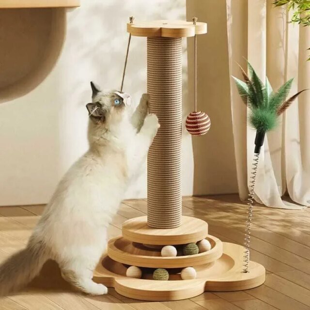 Cadre d'escalade en bois massif pour chat – Image 4