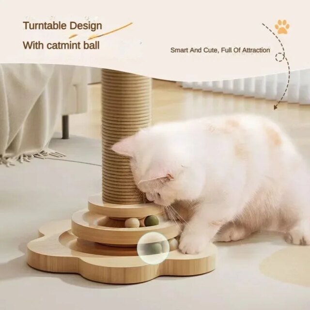 Cadre d'escalade en bois massif pour chat – Image 6