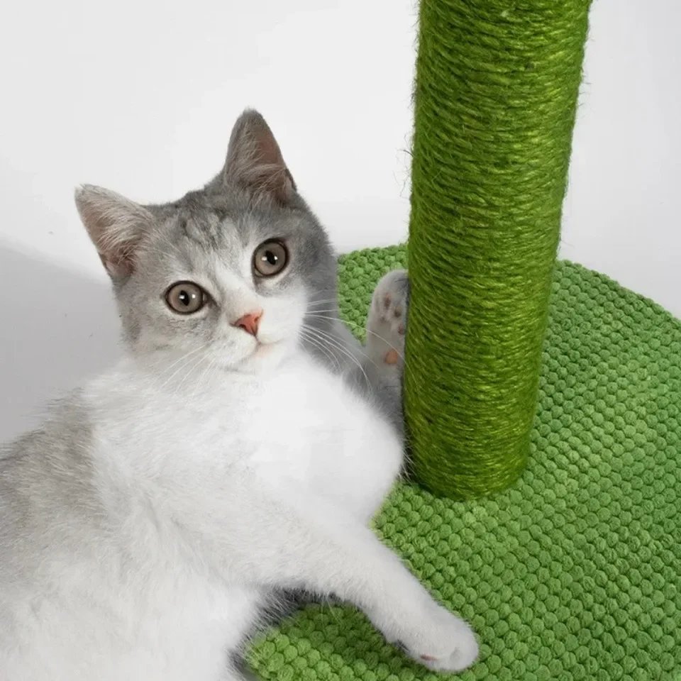 Planche à Gratter pour Chat, Grattoir pour Chats Jeunes et Adultes, Cadre d'Escalade, Jouet Interactif pour Chaton