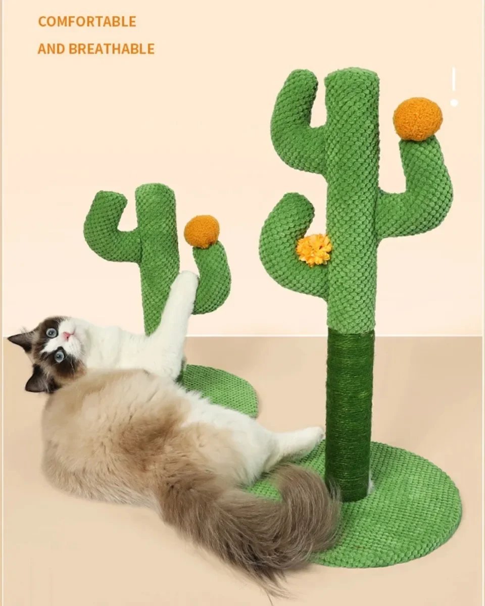 Planche à Gratter pour Chat, Grattoir pour Chats Jeunes et Adultes, Cadre d'Escalade, Jouet Interactif pour Chaton