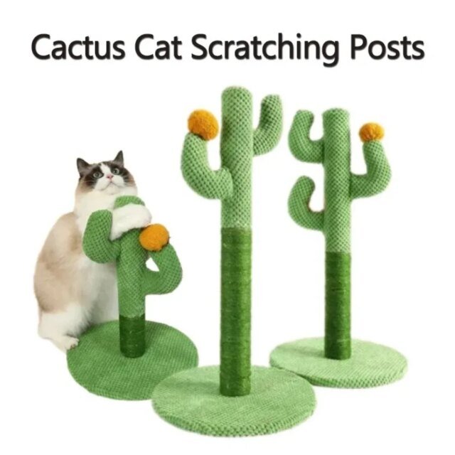 Planche à Gratter pour Chat｜Grattoir pour Chats Jeunes et Adultes｜Cadre d'Escalade｜Jouet Interactif pour Chaton – Image 4