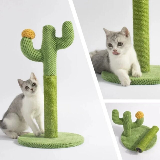 Planche à Gratter pour Chat｜Grattoir pour Chats Jeunes et Adultes｜Cadre d'Escalade｜Jouet Interactif pour Chaton – Image 2
