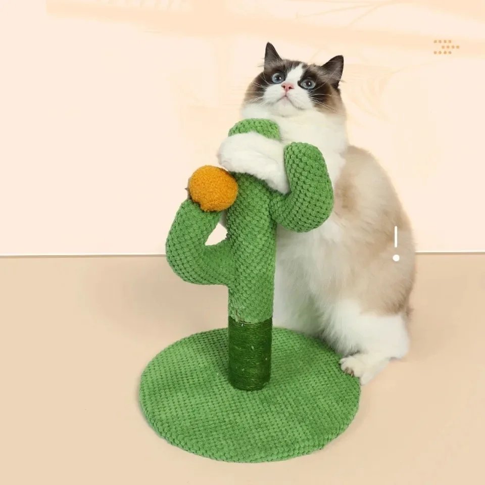 Planche à Gratter pour Chat, Grattoir pour Chats Jeunes et Adultes, Cadre d'Escalade, Jouet Interactif pour Chaton