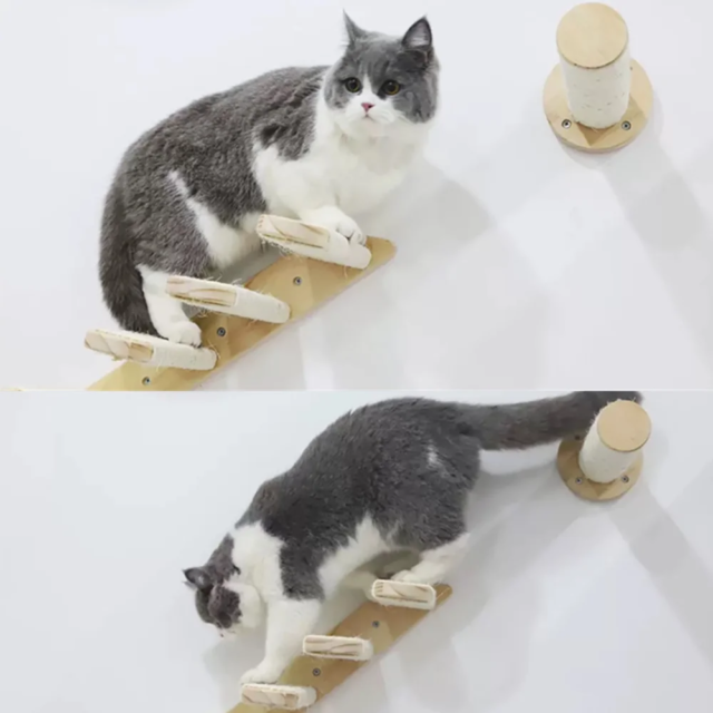 Ensemble d'étagères d'escalade en bois pour chat｜meubles muraux, hamac, perchoir, échelle en sisal, lits à gratter｜perchoirs stables pour chaton – Image 6