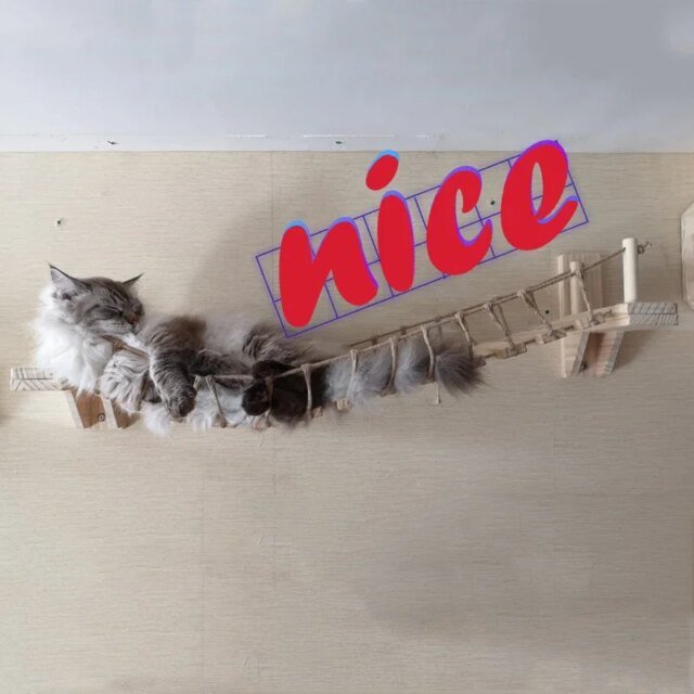 Pont mural pour chat | arbre à chat | lit hamac | échelle pour chat en Sisal | cadre d'escalade – Image 5