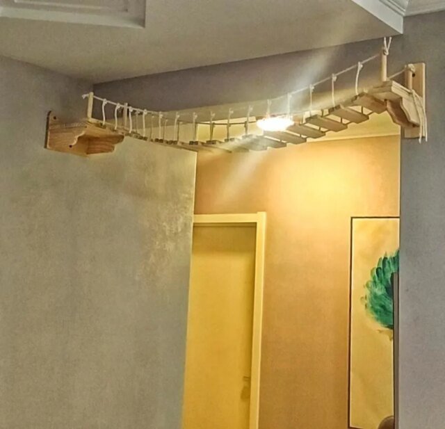 Pont mural pour chat | arbre à chat | lit hamac | échelle pour chat en Sisal | cadre d'escalade – Image 3