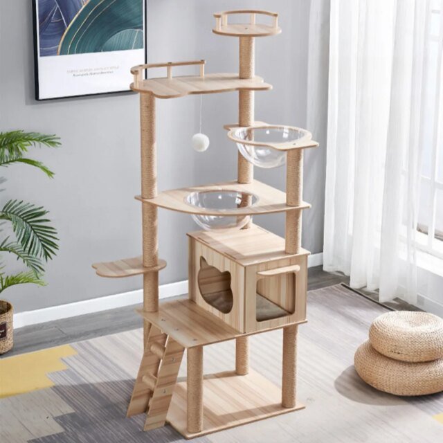 Cadre d'escalade à plusieurs couches pour chat | griffoirs ｜ planche à gratter｜tours multicouches