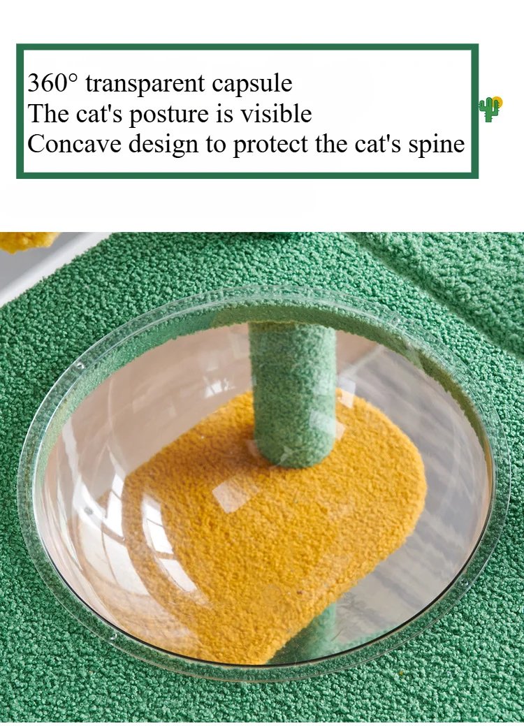 Cadre d'escalade pour chat, ULde sisal, accent de chat, arbre à chat intégré, plate-forme de saut, petite taille Cadre d'escalade pour chat, ULde sisal, accent de chat, arbre à chat intégré, plate-forme de saut, petite taille