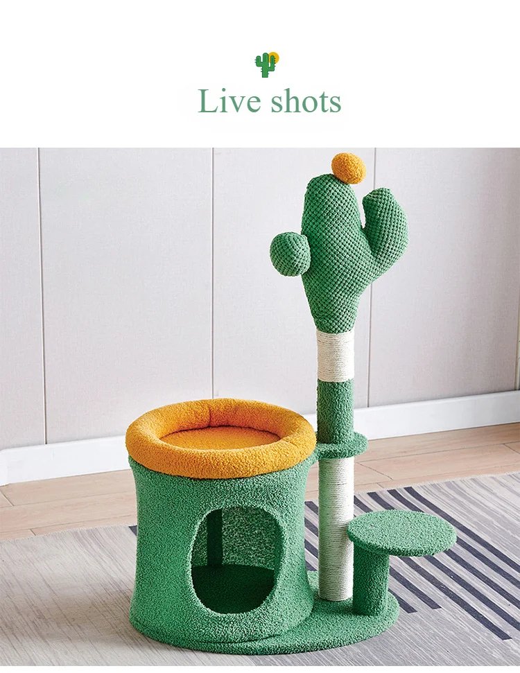 Cadre d'escalade pour chat, ULde sisal, accent de chat, arbre à chat intégré, plate-forme de saut, petite taille Cadre d'escalade pour chat, ULde sisal, accent de chat, arbre à chat intégré, plate-forme de saut, petite taille