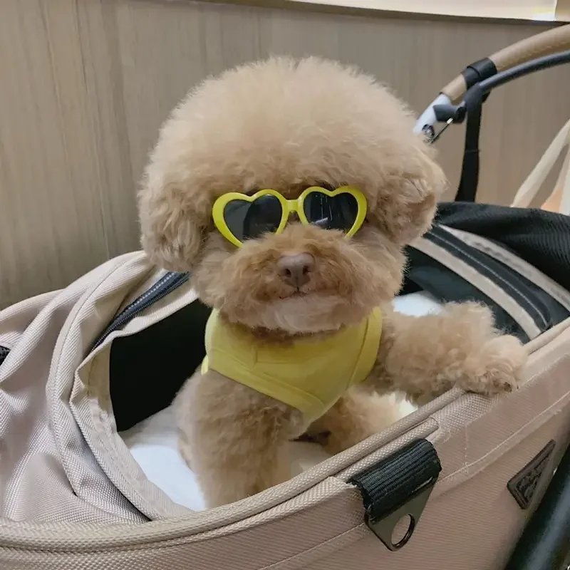 Lunettes de soleil en forme de cœur pour animaux de compagnie, jolies lunettes de soleil pour chiens et chats, nœuds perforés, nounours, décoration de poils d'animaux, accessoires photo