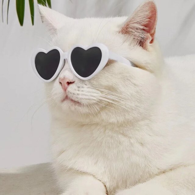 Lunettes de soleil en forme de cœur pour animaux de compagnie, jolies lunettes de soleil pour chiens et chats, nœuds perforés, nounours, décoration de poils d'animaux, accessoires photo – Image 2