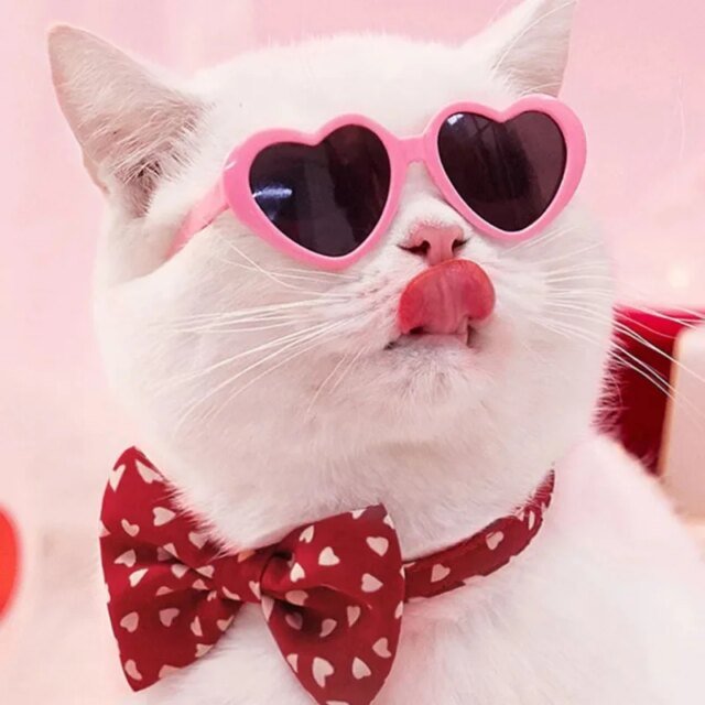 Lunettes de soleil en forme de cœur pour animaux de compagnie, jolies lunettes de soleil pour chiens et chats, nœuds perforés, nounours, décoration de poils d'animaux, accessoires photo
