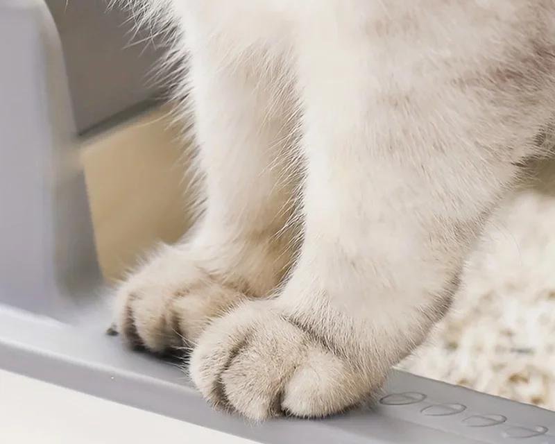 Boîte à litière extra large en acier inoxydable pour chat, boîtier mural haut, anti-fuite, facile à nettoyer, couvercle inclus