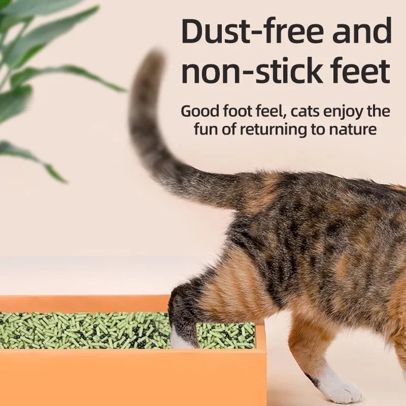 Perles désodorisantes absorbantes pour toilettes pour chats, bac à litière pour chat, 6 saveurs, litière aromatique, fournitures de livres pour animaux de compagnie