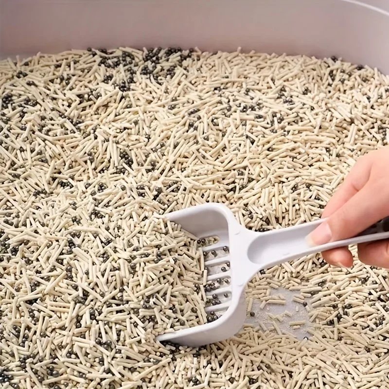 Perles désodorisantes absorbantes pour toilettes pour chats, bac à litière pour chat, 6 saveurs, litière aromatique, fournitures de livres pour animaux de compagnie
