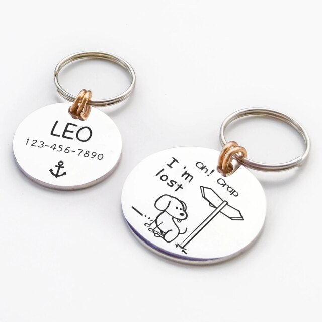 Plaque signalétique gravée en acier inoxydable pour chien | étiquettes personnalisées drôles | accessoires de collier