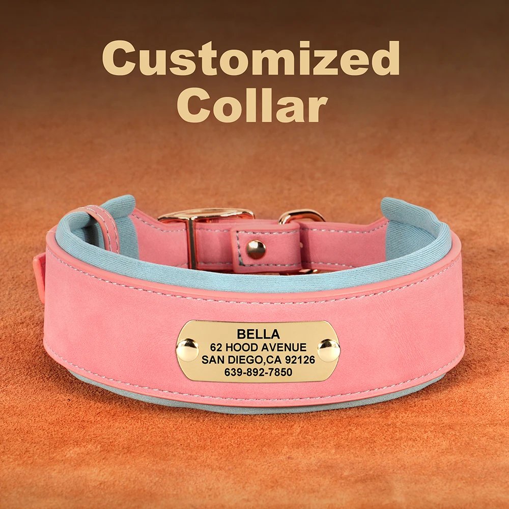 Collier en cuir PU personnalisé pour animaux de compagnie, collier de chien large, étiquette personnalisée, doux, petits chiens moyens et grands, Pitbull et Buldog