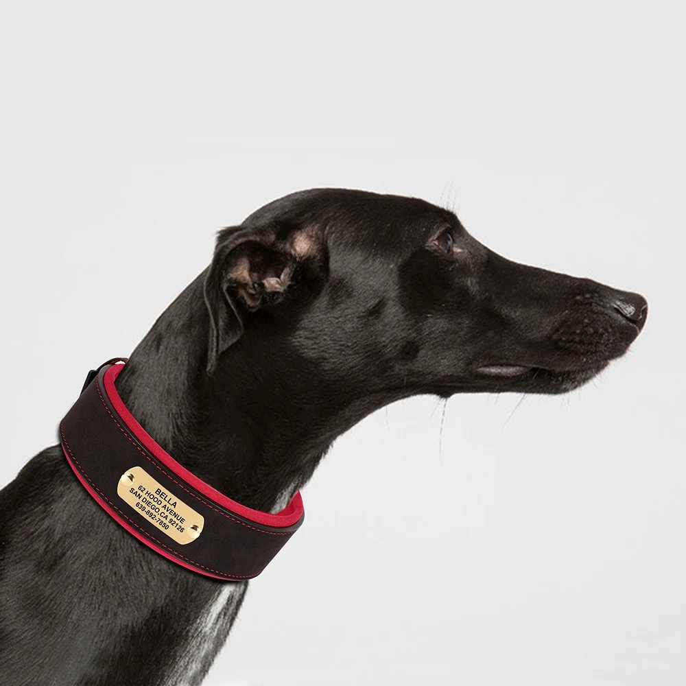 Collier en cuir PU personnalisé pour animaux de compagnie, collier de chien large, étiquette personnalisée, doux, petits chiens moyens et grands, Pitbull et Buldog