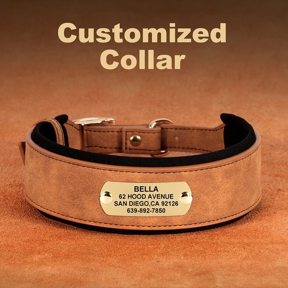 Collier en cuir PU personnalisé pour animaux de compagnie, collier de chien large, étiquette personnalisée, doux, petits chiens moyens et grands, Pitbull et Buldog