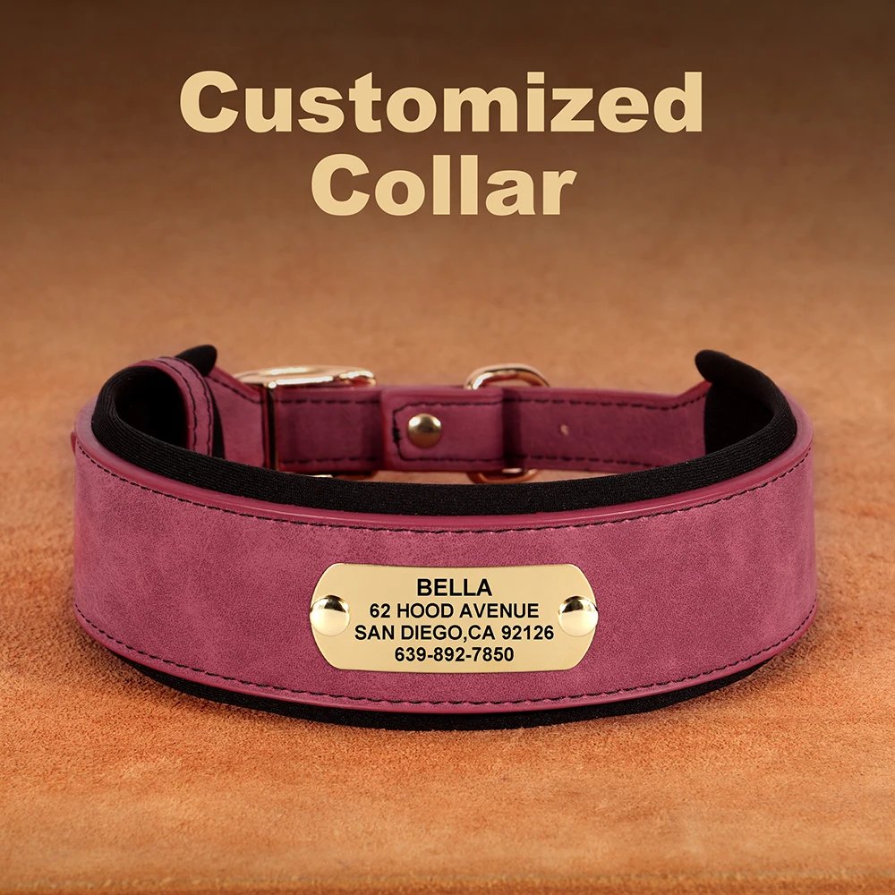 Collier en cuir PU personnalisé pour animaux de compagnie, collier de chien large, étiquette personnalisée, doux, petits chiens moyens et grands, Pitbull et Buldog