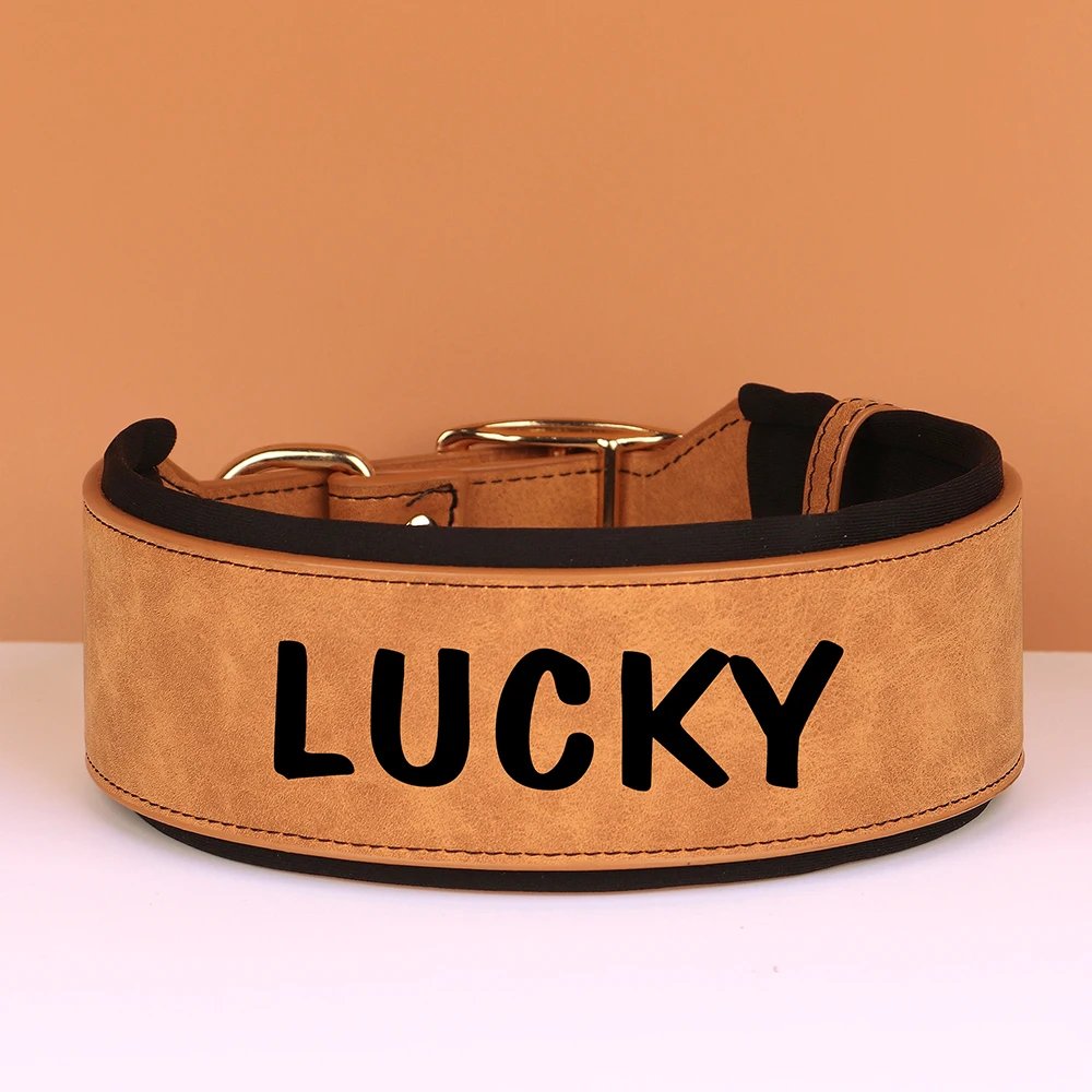 Collier en cuir PU personnalisé pour animaux de compagnie, collier de chien large, étiquette personnalisée, doux, petits chiens moyens et grands, Pitbull et Buldog
