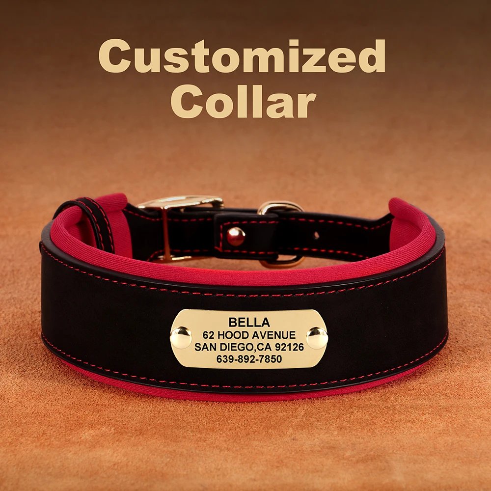 Collier en cuir PU personnalisé pour animaux de compagnie, collier de chien large, étiquette personnalisée, doux, petits chiens moyens et grands, Pitbull et Buldog