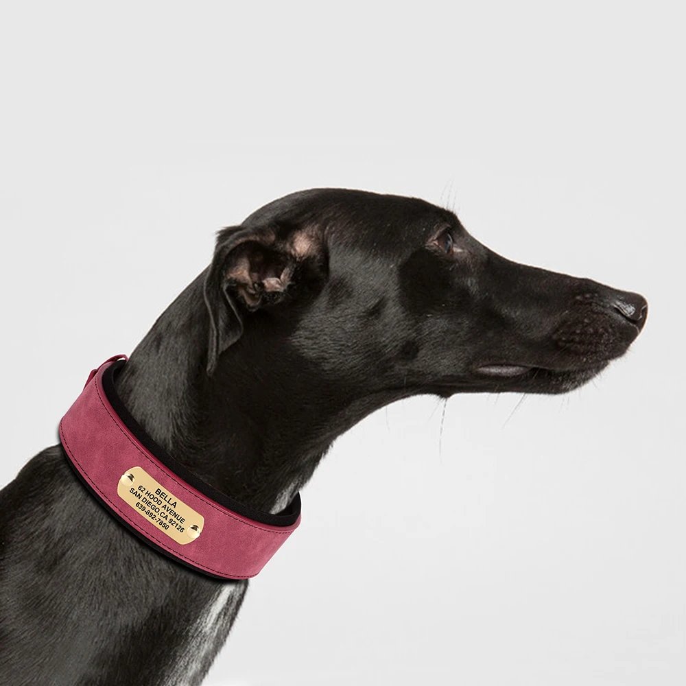 Collier en cuir PU personnalisé pour animaux de compagnie, collier de chien large, étiquette personnalisée, doux, petits chiens moyens et grands, Pitbull et Buldog