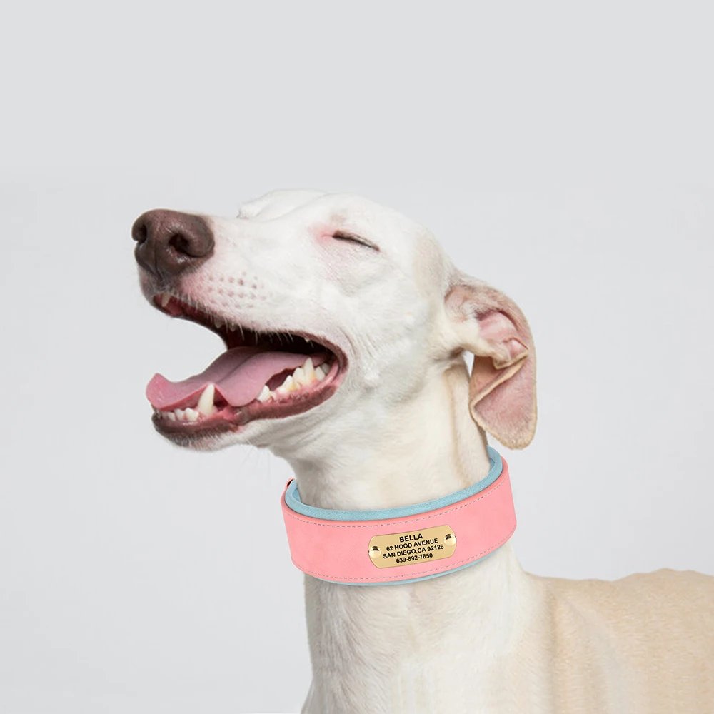 Collier en cuir PU personnalisé pour animaux de compagnie, collier de chien large, étiquette personnalisée, doux, petits chiens moyens et grands, Pitbull et Buldog