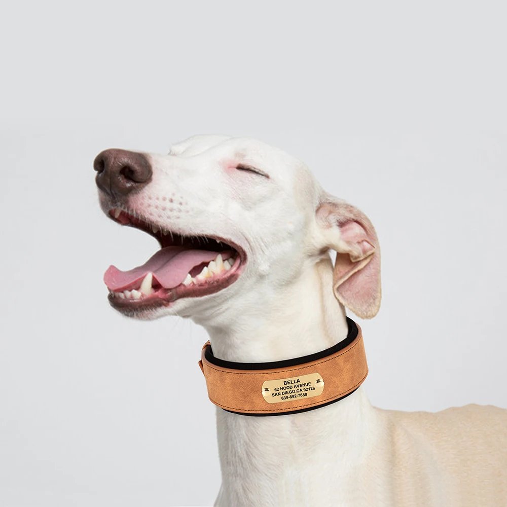 Collier en cuir PU personnalisé pour animaux de compagnie, collier de chien large, étiquette personnalisée, doux, petits chiens moyens et grands, Pitbull et Buldog