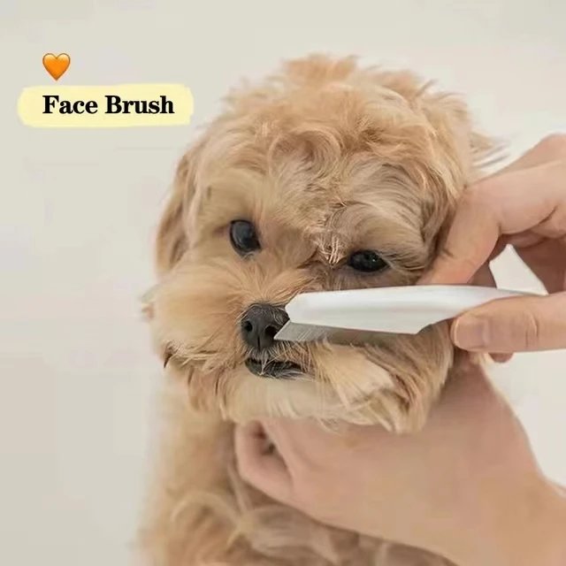 Peigne à puces en acier inoxydable pour animaux de compagnie, peigne à perte de poils, brosse confortable pour chat et chien, outils de toilettage, 1 pièce, 2 pièces