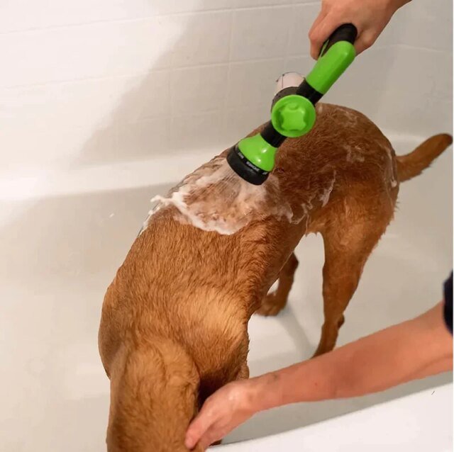Buse de Pulvérisation à Haute Pression pour Chien – Image 6