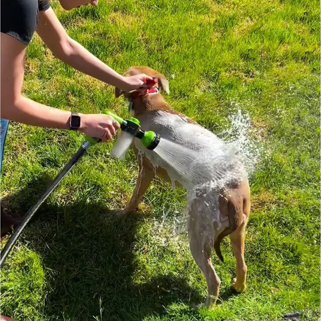 Buse de Pulvérisation à Haute Pression pour Chien – Image 2