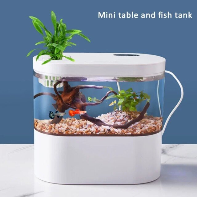Mini aquarium de poisson précieux avec système de filtration biochimique