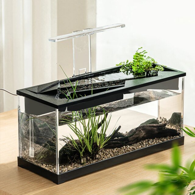 Pompe à eau claire intégrée pour petits poissons | aquarium précieux