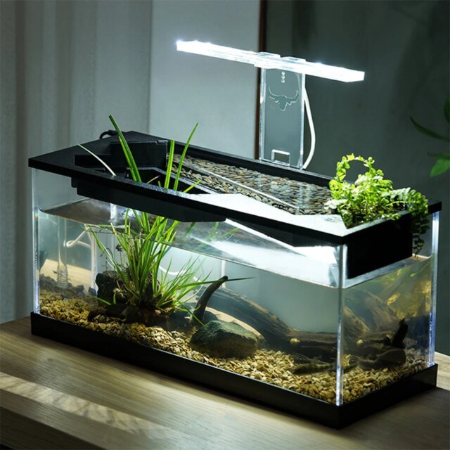 Pompe à eau claire intégrée pour petits poissons | aquarium précieux – Image 4