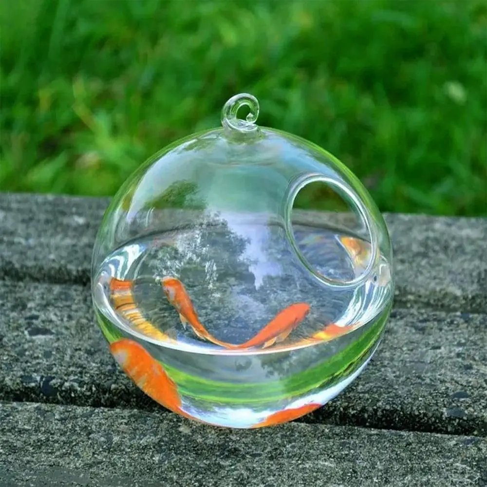 Vase à Poissons Précieux en Verre de Conface de Forme Ronde ou Rectangulaire, Ornement Transparent avec Support T1, pour Aquarium, Décoration de la Maison Vase à Poissons Précieux en Verre de Conface de Forme Ronde ou Rectangulaire, Ornement Transparent avec Support T1, pour Aquarium, Décoration de la Maison