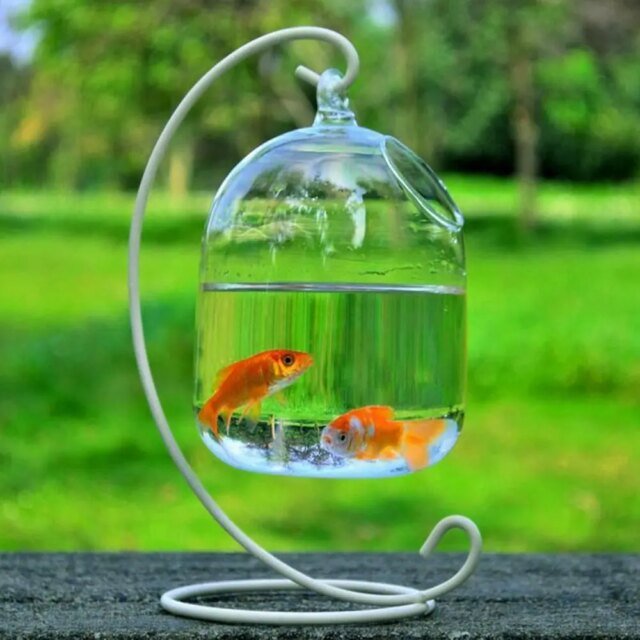 Vase à Poissons Précieux en Verre de Forme Ronde ou Rectangulaire | Ornement Transparent avec Support T1 | Aquarium
