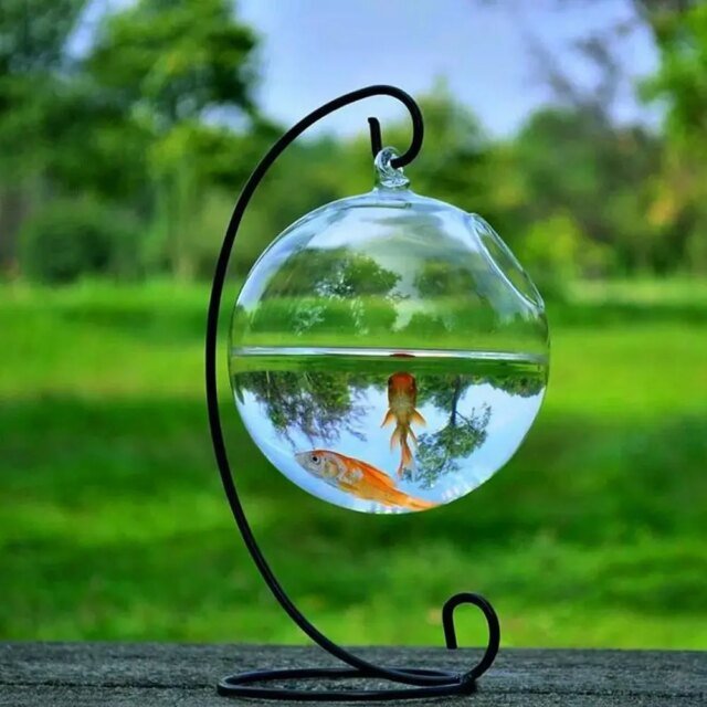 Vase à Poissons Précieux en Verre de Forme Ronde ou Rectangulaire | Ornement Transparent avec Support T1 | Aquarium – Image 4
