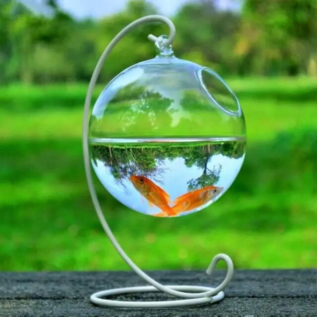 Vase à Poissons Précieux en Verre de Forme Ronde ou Rectangulaire | Ornement Transparent avec Support T1 | Aquarium – Image 3