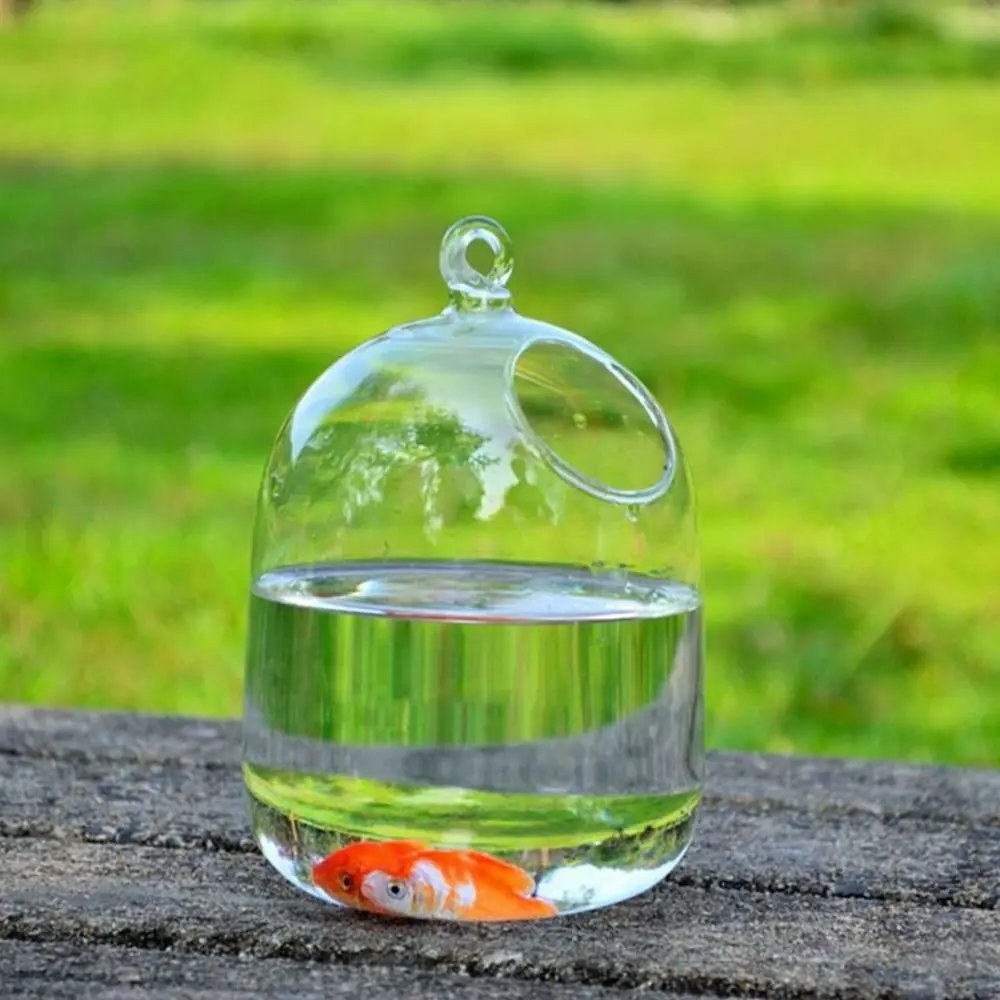 Vase à Poissons Précieux en Verre de Conface de Forme Ronde ou Rectangulaire, Ornement Transparent avec Support T1, pour Aquarium, Décoration de la Maison Vase à Poissons Précieux en Verre de Conface de Forme Ronde ou Rectangulaire, Ornement Transparent avec Support T1, pour Aquarium, Décoration de la Maison