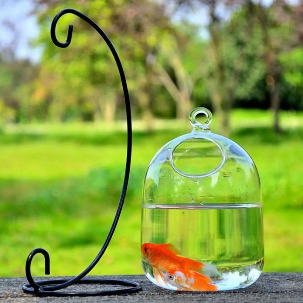 Vase à Poissons Précieux en Verre de Conface de Forme Ronde ou Rectangulaire, Ornement Transparent avec Support T1, pour Aquarium, Décoration de la Maison Vase à Poissons Précieux en Verre de Conface de Forme Ronde ou Rectangulaire, Ornement Transparent avec Support T1, pour Aquarium, Décoration de la Maison