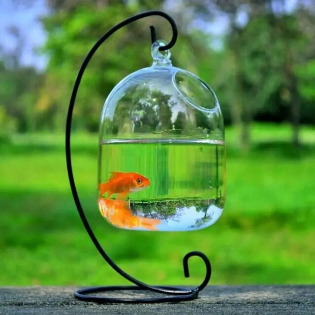 Vase à Poissons Précieux en Verre de Forme Ronde ou Rectangulaire | Ornement Transparent avec Support T1 | Aquarium – Image 2