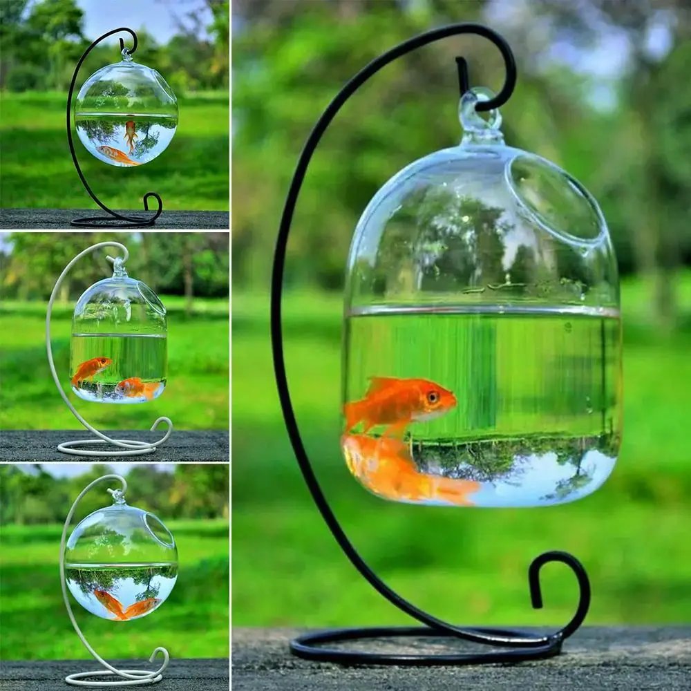 Vase à Poissons Précieux en Verre de Conface de Forme Ronde ou Rectangulaire, Ornement Transparent avec Support T1, pour Aquarium, Décoration de la Maison Vase à Poissons Précieux en Verre de Conface de Forme Ronde ou Rectangulaire, Ornement Transparent avec Support T1, pour Aquarium, Décoration de la Maison