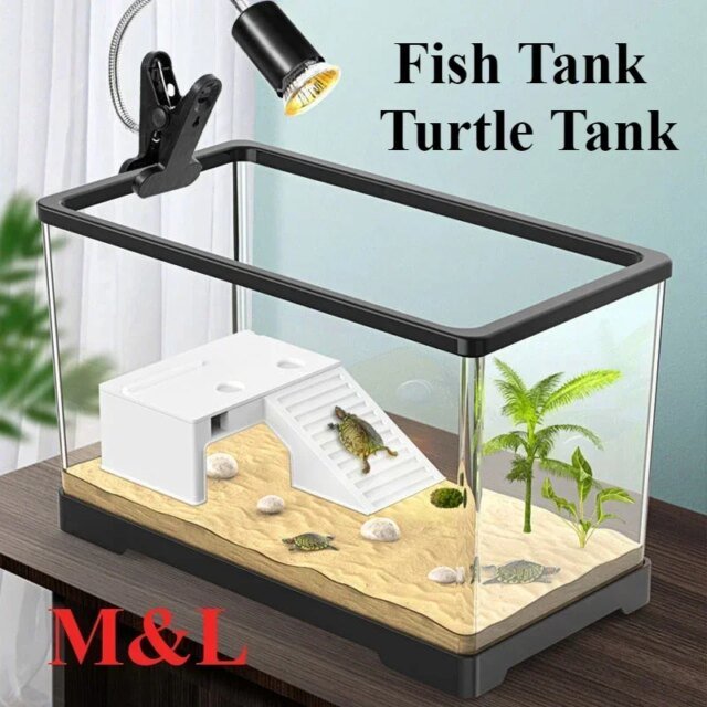 Aquariums transparents et aquariums en plastique l'horloge｜boîte d'élevage｜aquarium précieux｜aquariums de poissons rouges